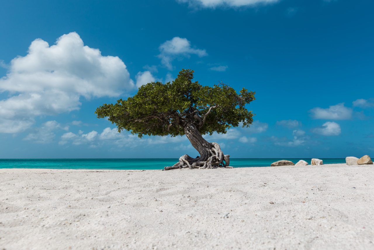 5 razones para elegir Aruba este 2026