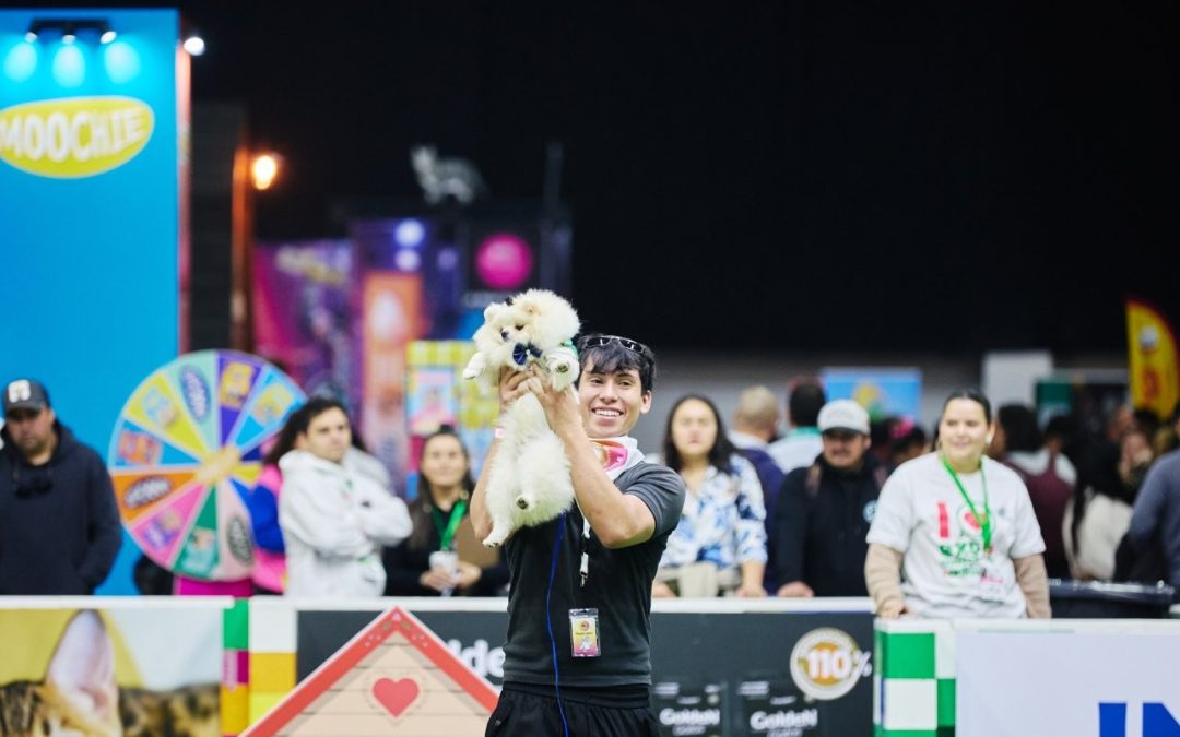 Expo Mascotas & Animales dará un impulso a la tendencia «Pet Parenting»