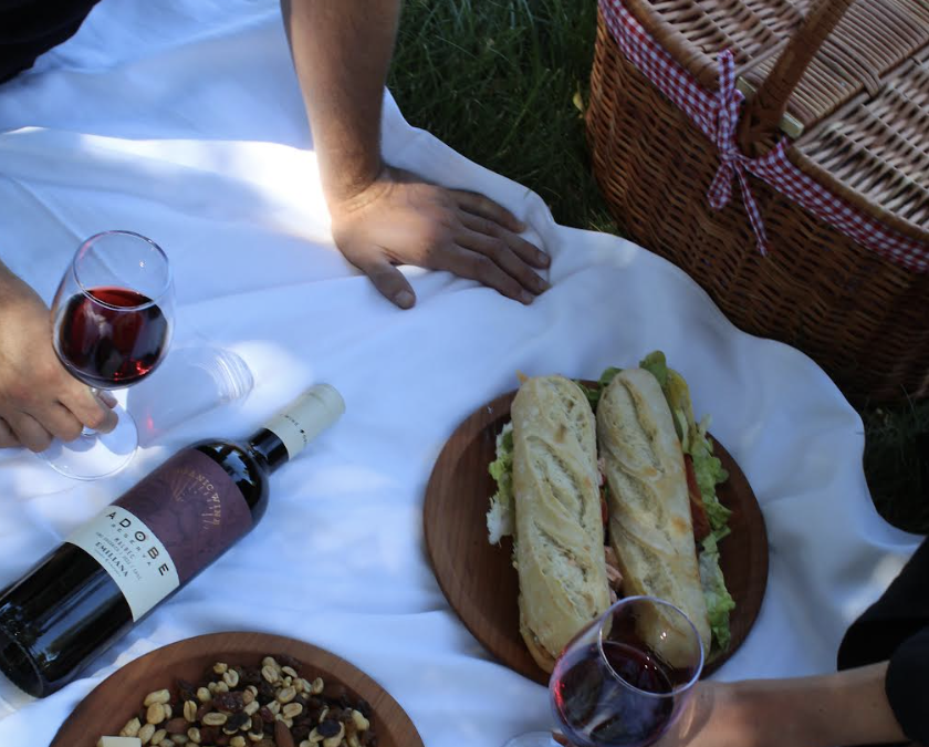 Gana canastas de picnic de Viña Emiliana